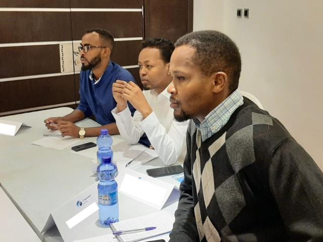 Professionals from Somalia and Somaliland strengthen capacities