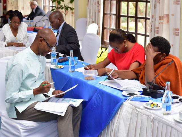 Strengthening Insider Mediators in the Great Lakes Region