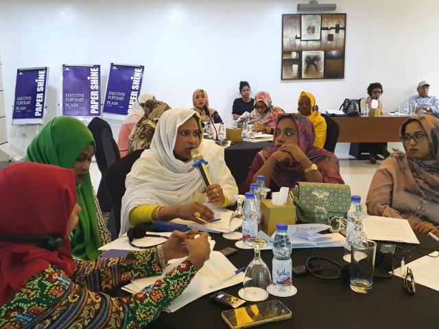 Enhancing women's networks' skills in Eastern Sudan
