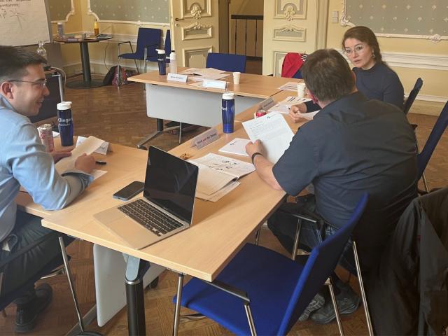 Training Professionals in their Intercultural Competences 