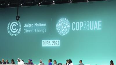Expert insights: Climate and COP28