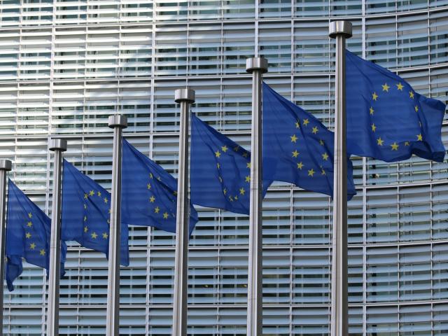 Successful training for Dutch public health civil servants on EU affairs