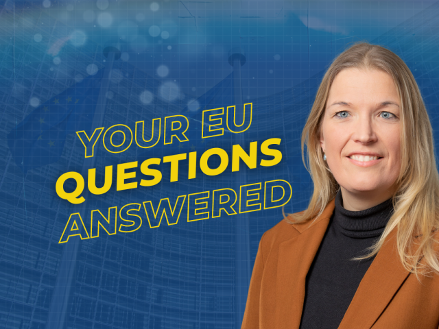 Audience question: What to do with the EU veto?