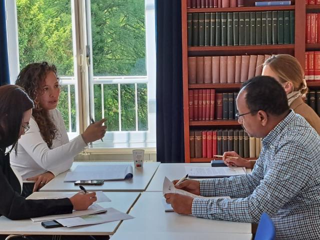 Enhancing Regional Mediation Support to Peace Processes