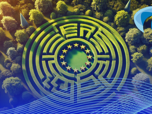 EU training programme overview
