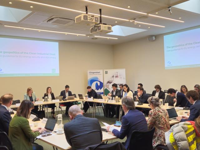 Clingendael–CEPS Roundtable: The Geopolitics of the Clean Industrial Deal