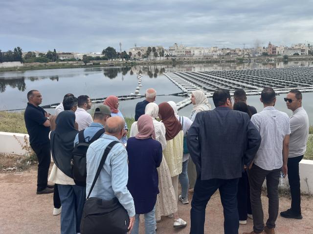 Powering change: MENA professionals drive the energy transition forward