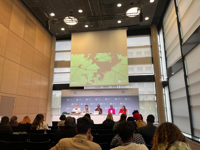 Influencing without authority: Lessons from the Bonn Climate Talks